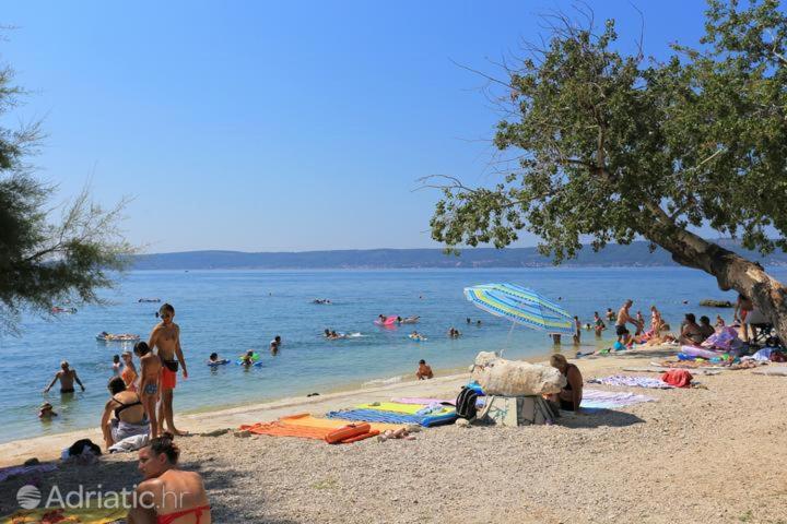 Poolside Escape Homestay Kastela